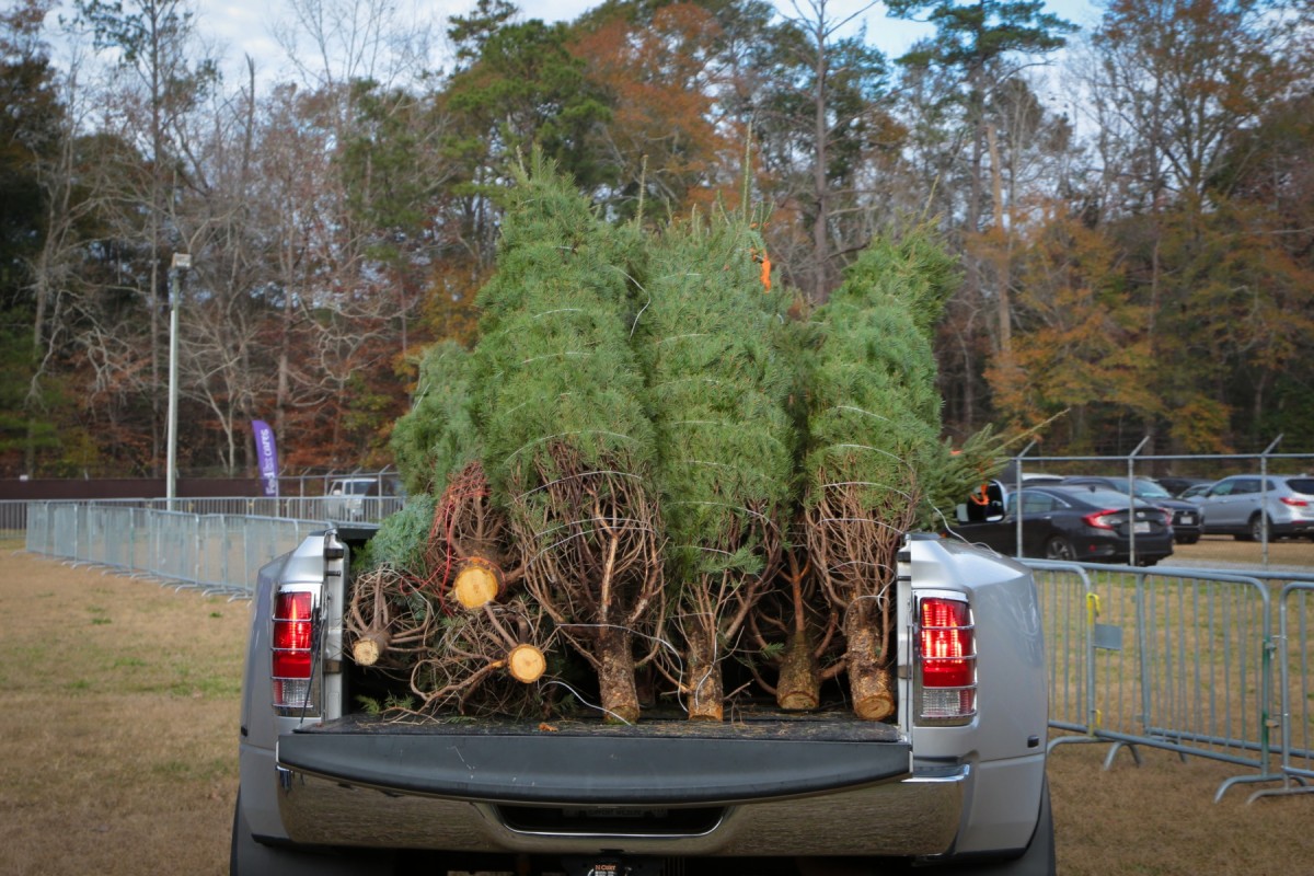 Trees for Troops delivers more than 600 trees for Fort Benning service