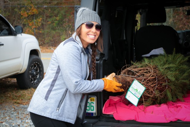 Trees for Troops