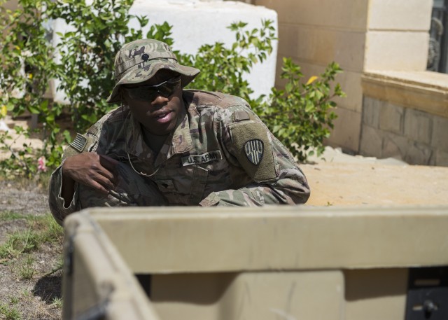 New York National Guard unit trains with partner nations in Operation Bright Star 2018