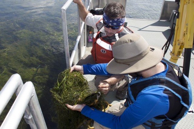 Buffalo District biologist Joshua Unghire and a SUNY Brockport student survey the Braddock Bay ecosystem restoration project