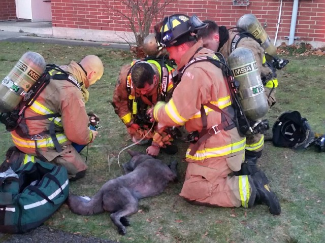 Life-saving gifts for pets arrive on JBLM