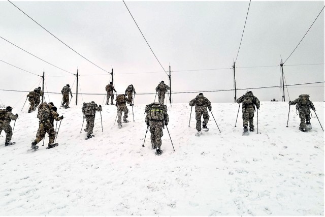 Snowshoeing