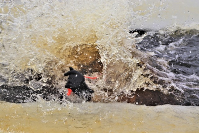 Students participate in cold-water immersion training for CWOC Class 19-01 at Fort McCoy