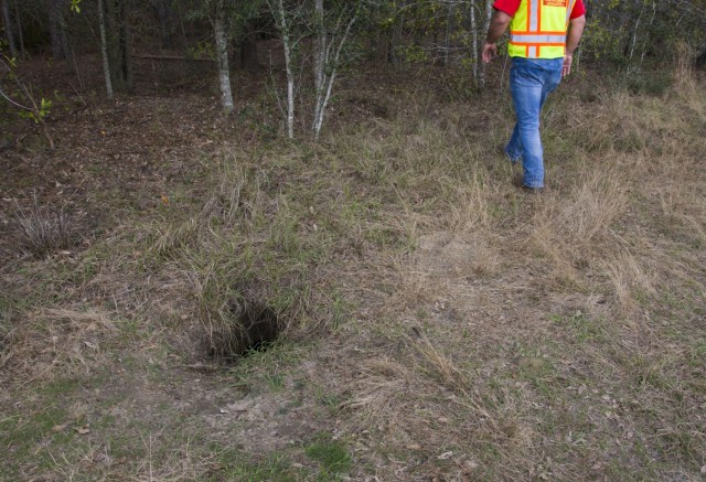 Corps team protects threatened species