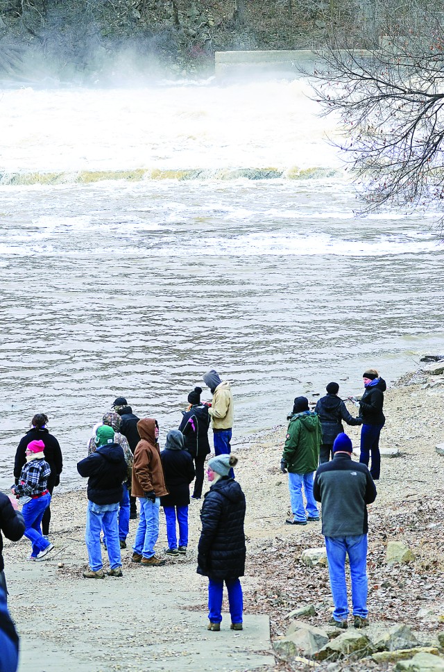 Walkers brave the cold