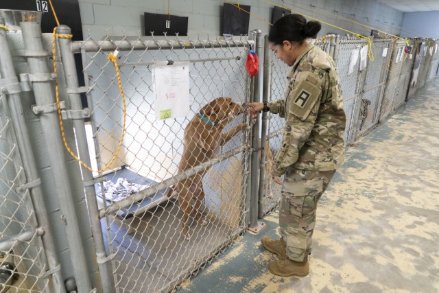 Soldier makes tails wag in Mississippi