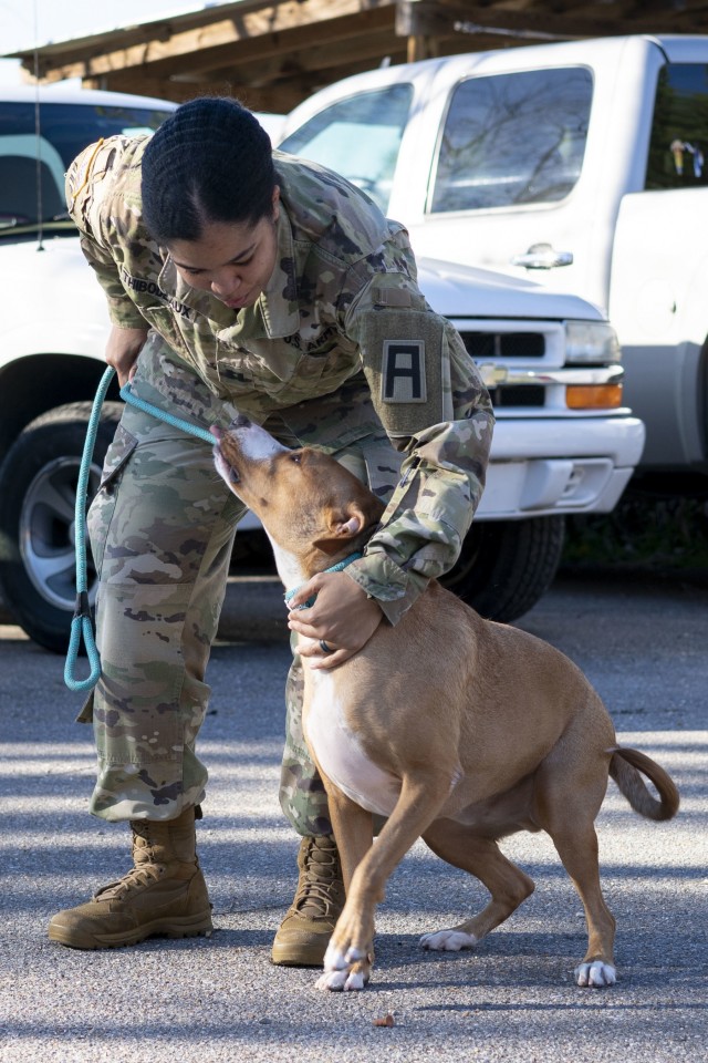 Soldier makes tails wag in Mississippi