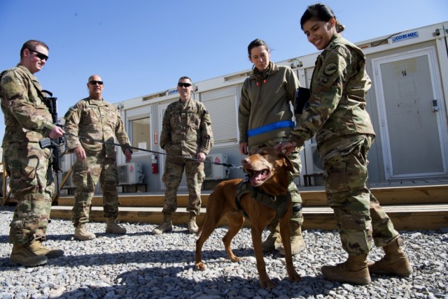Army therapy dog visits maintenance Airmen
