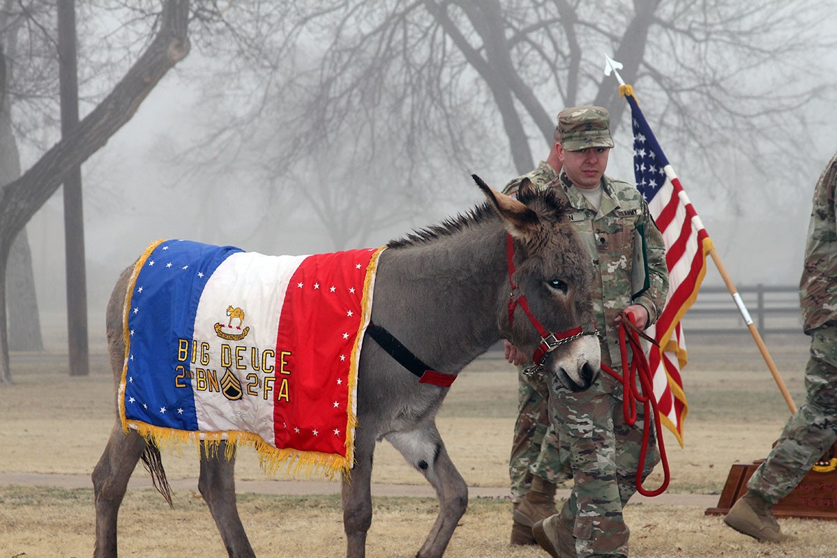 What College Football Team Does Not Have A Mascot