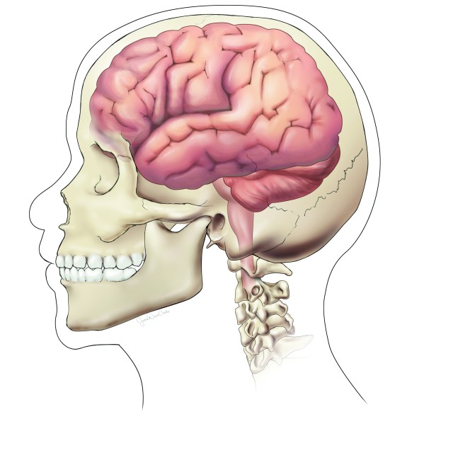 Concussion can affect cognition, other aspects of life