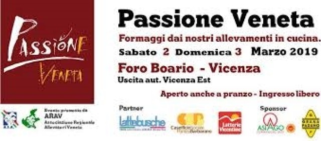 AZ Card & Games  Sesto Fiorentino