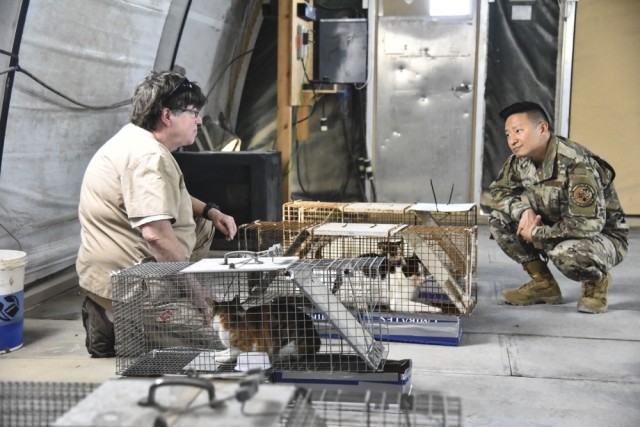 AF, Army partner together to activate TVRN clinic