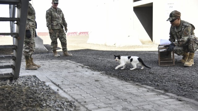AF, Army partner together to activate TVRN clinic