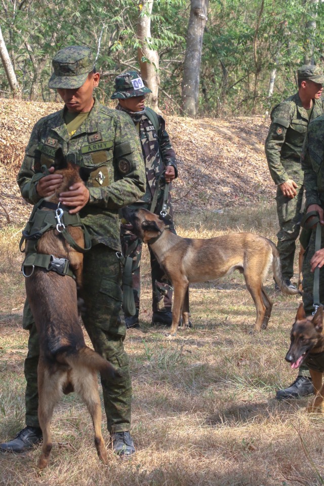US, Philippine Armies exchange best techniques for training working dogs