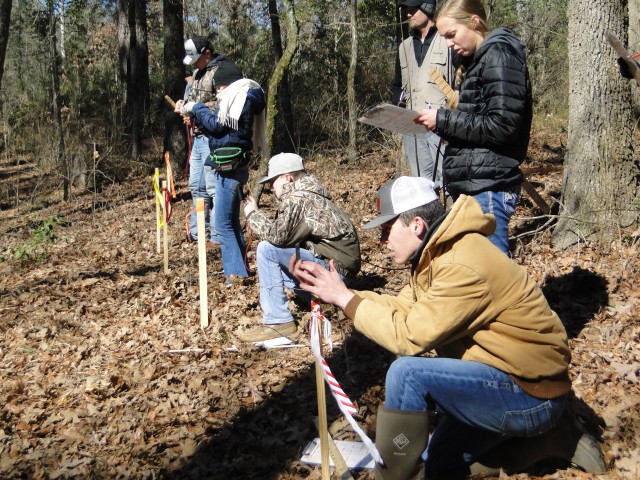 Forestry Invitational Competition