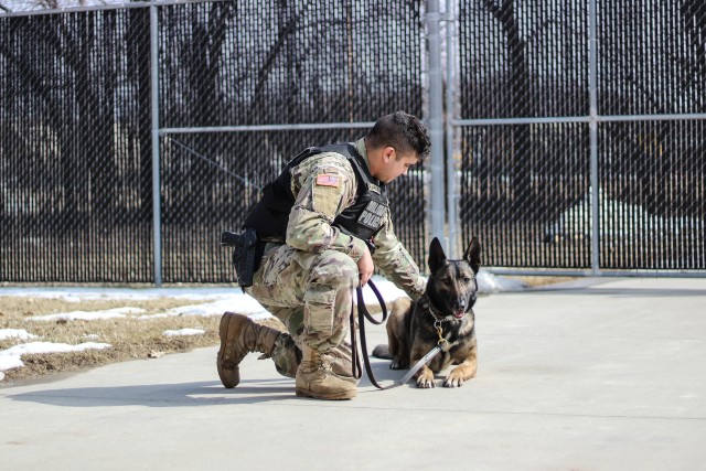 Fort Riley's four-legged heroes