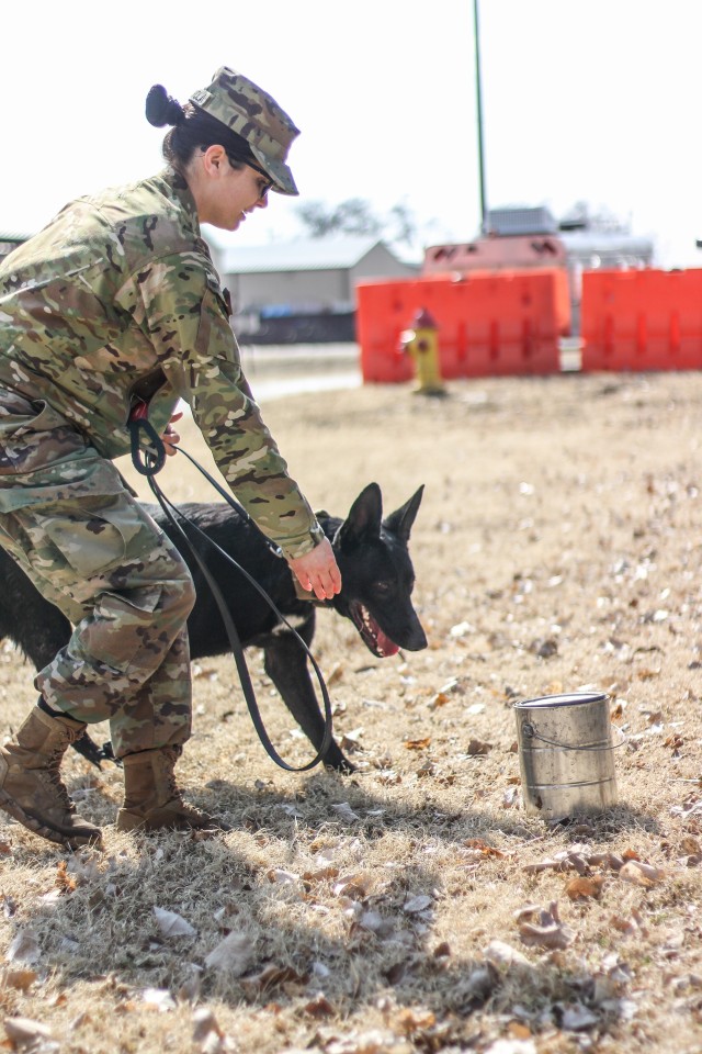 Fort riley's four-legged heroes