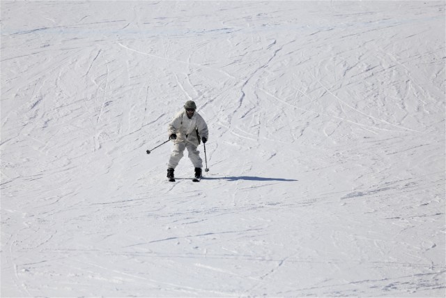 Cold-Weather Operations Course Class 19-06 students learn skiing at Fort McCoy