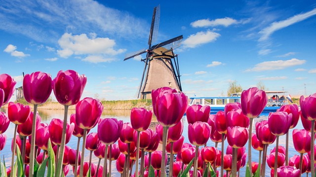 Keunkenhof Gardens