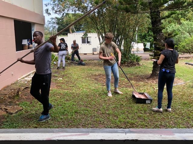 Tripler Soldiers volunteer at Pearl Haven Sanctuary