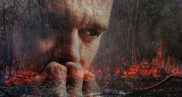 As I ate, I continually checked the smoldering leaves and eventually all of the smoke stopped. I'd soon have to leave to pick up my son for baseball practice, but I felt the fire hazard was minimal un