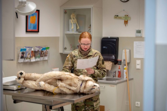 Public Health Activity Rheinland-Pfalz North Knights Annual Training Exercise