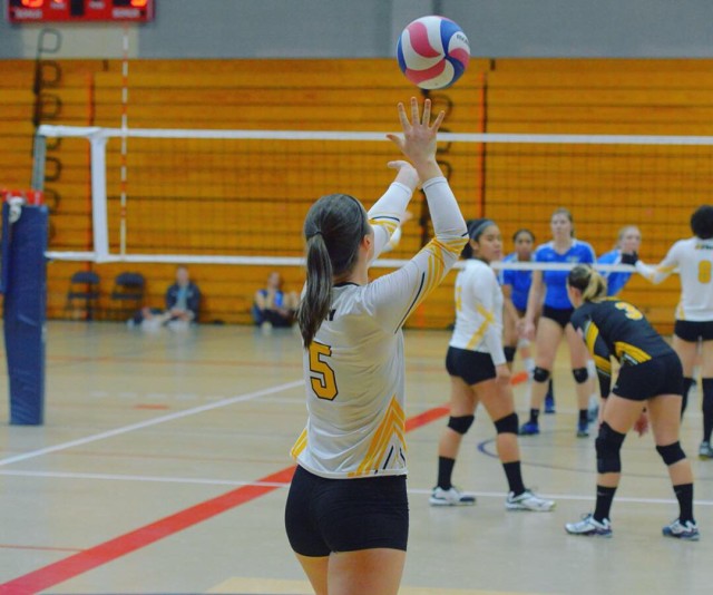 Capt. Kathleen Stewart, officer in charge of the Wiesbaden Veterinary Treatment Facility serving at the tournament.