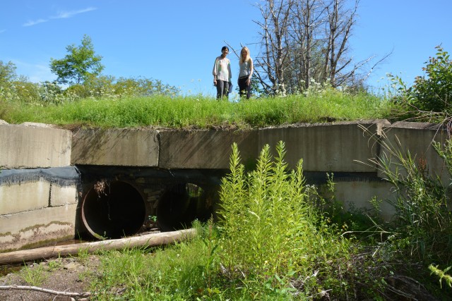 The Old Culvert
