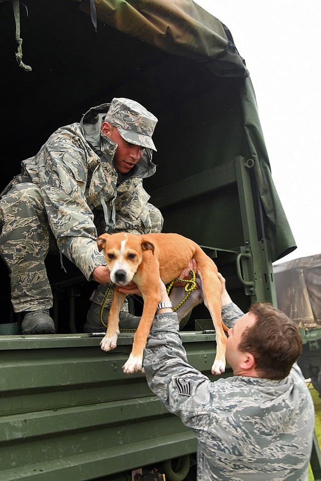 Louisiana National Guard, local agencies practice disaster readiness