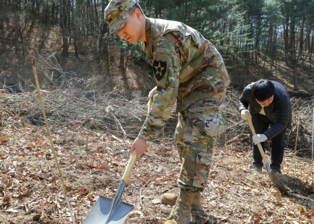 Arbor Day: U.S. Soldiers and DDC Citizens cultivate friendships
