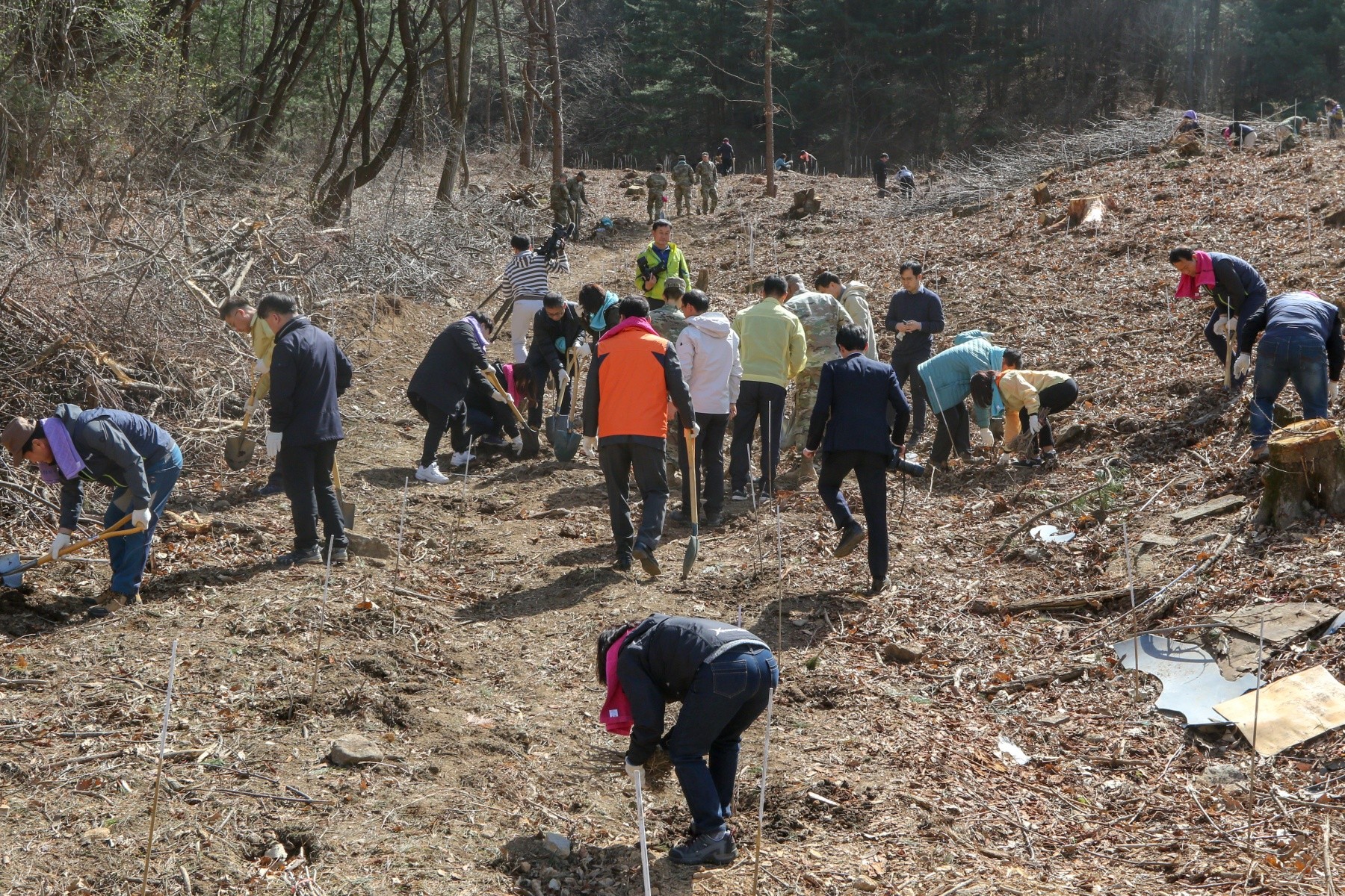 Arbor Day: U.S. Soldiers and DDC Citizens cultivate friendships ...