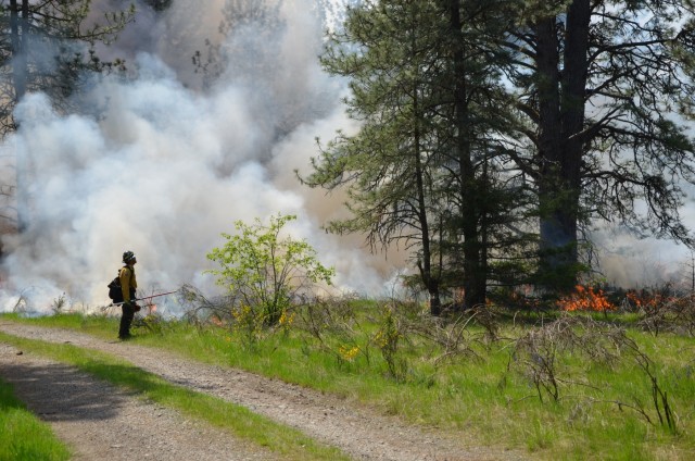 Prescribed burns