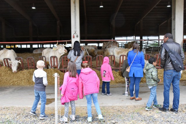 Hainerberg first-graders visit organic farm