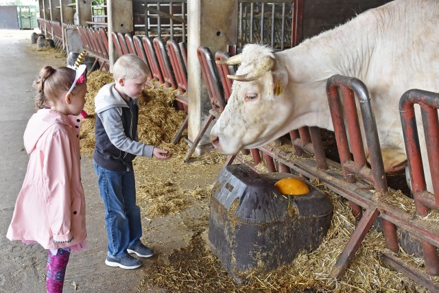 Hainerberg first-graders visit organic farm