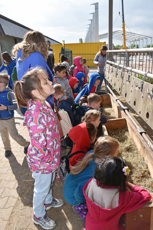 Hainerberg first-graders visit organic farm