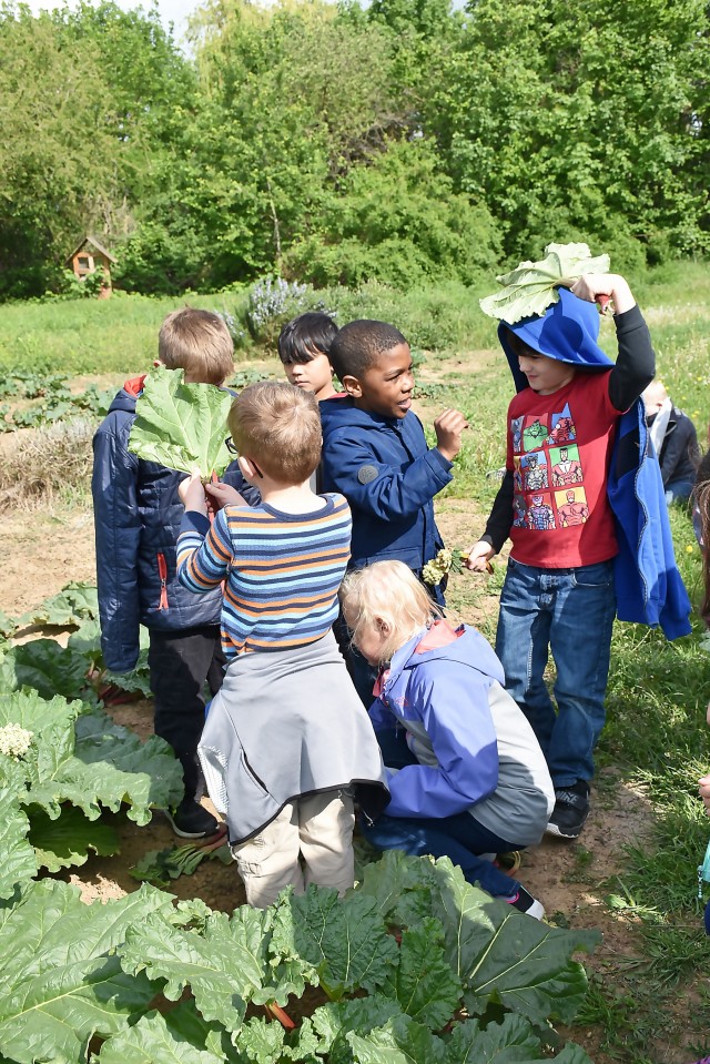 Hainerberg first-graders visit organic farm