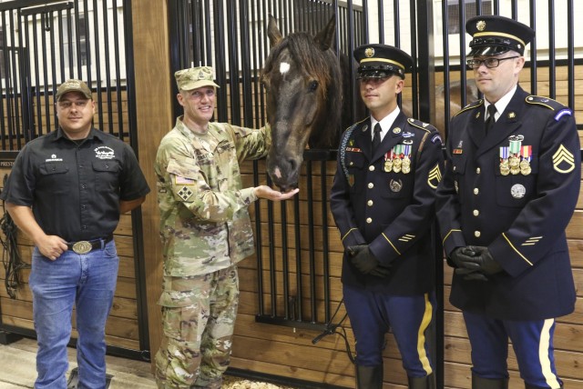 Ft. Sam Houston Caisson Team Dedicates horse in Sergeant Major of the Army's Name