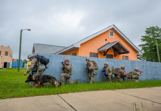 Military Working Dog culminating event