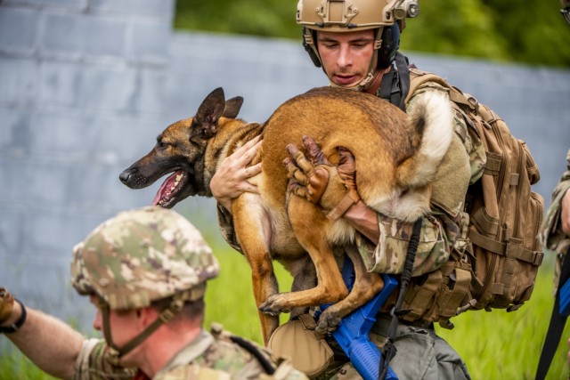 Dogs, handlers from across US Army train at Fort Benning for deployment ...