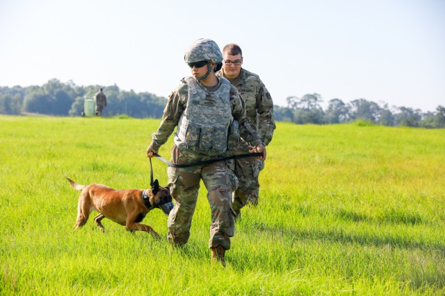 Dogs, handlers from across US Army train at Fort Benning for deployment ...