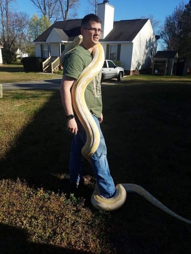 "Spartan Brigade Steve Irwin"