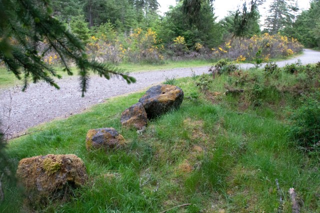 The Buffalo Soldiers' bivouac area off Sequalitchew Creek Trail