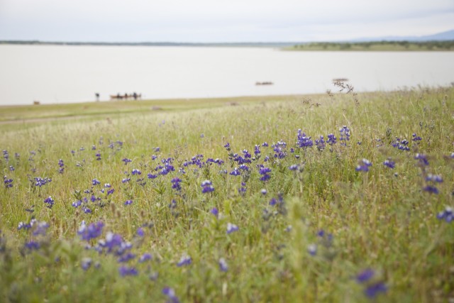 Black Butte Lake Scenery