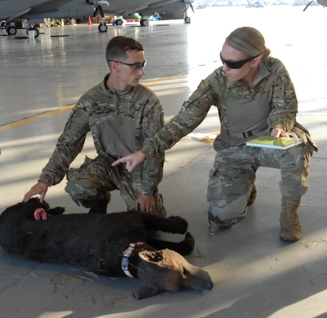 Fort Knox Vets work with 4ID, 905th MWD to save four-footed Warfighters