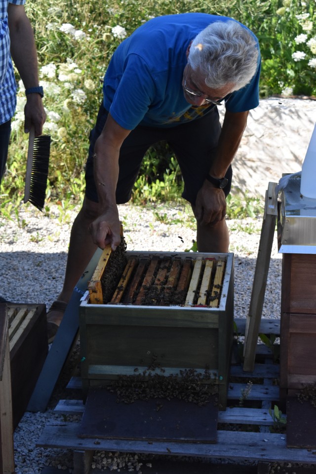 Beekeeper students celebrate graduation, honey harvest in Ansbach