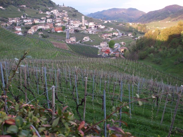 Prosecco Road earns UNESCO distinction