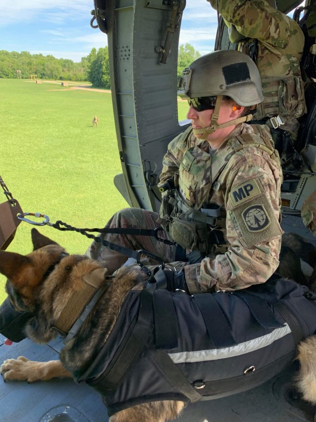 "The Dogs of War" - 510th Military Police Detachment Continues to Support Operations Overseas