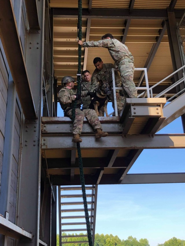 "The Dogs of War" - 510th Military Police Detachment Continues to Support Operations Overseas