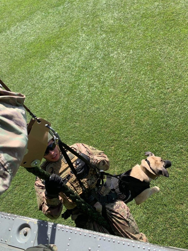 "The Dogs of War" - 510th Military Police Detachment Continues to Support Operations Overseas