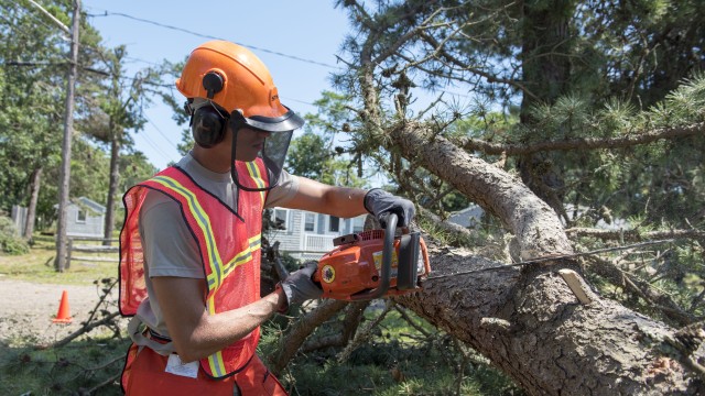 National Guard mobilizes for tornado cleanup on Cape Cod
